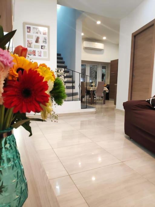 Cheerful 3 Bedroom Town House With Garage Free Parking Inside Or Outside With Back Yard And Roof * Sliema