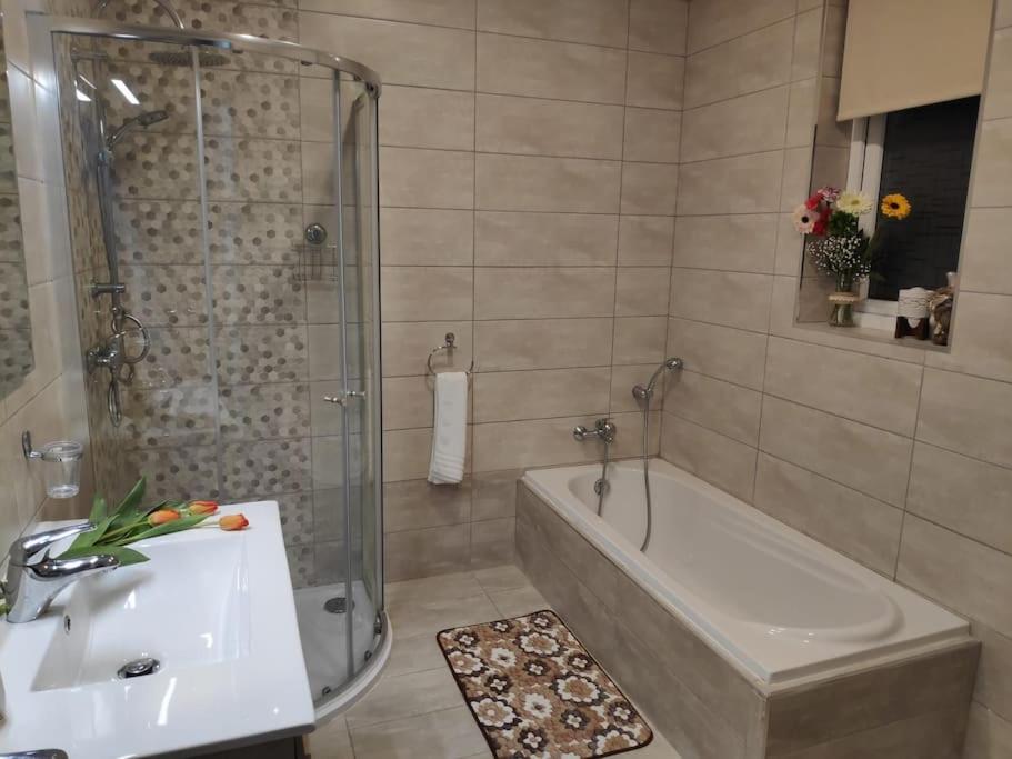 Cheerful 3 Bedroom Town House With Garage Free Parking Inside Or Outside With Back Yard And Roof * Sliema