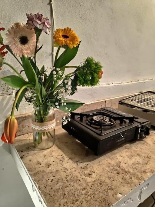 Vakantiehuis Cheerful 3 Bedroom Town House With Garage Free Parking Inside Or Outside With Back Yard And Roof