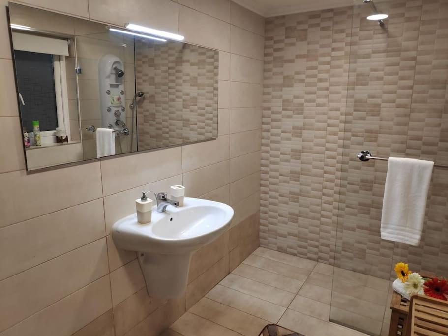 Cheerful 3 Bedroom Town House With Garage Free Parking Inside Or Outside With Back Yard And Roof
